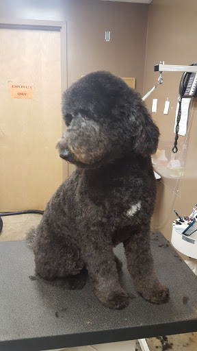 Pet Store «All Pet & Equine Supply», reviews and photos, 40 Plaza Way #380, Mountain Home, AR 72653, USA