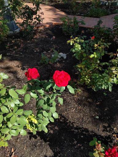 Museum «Rosson House Museum at Heritage Square», reviews and photos, 113 N 6th St, Phoenix, AZ 85004, USA