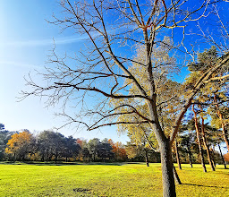 Volkspark Köpenick photo