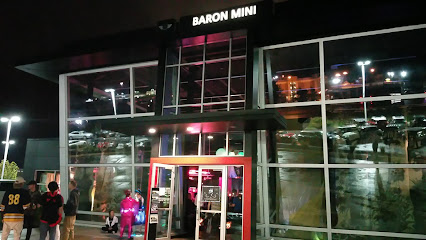Baron MINI