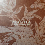 Photo n°1 de l'avis de Smsma5.0 fait le 16/03/2024 à 21:34 sur le  Arabella - cucina comasca contemporanea à Villa Guardia