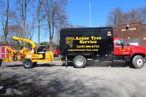 Anjoe Tree Service image 3