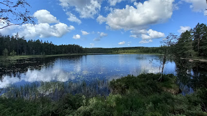 Marieholmsskogens naturreservat