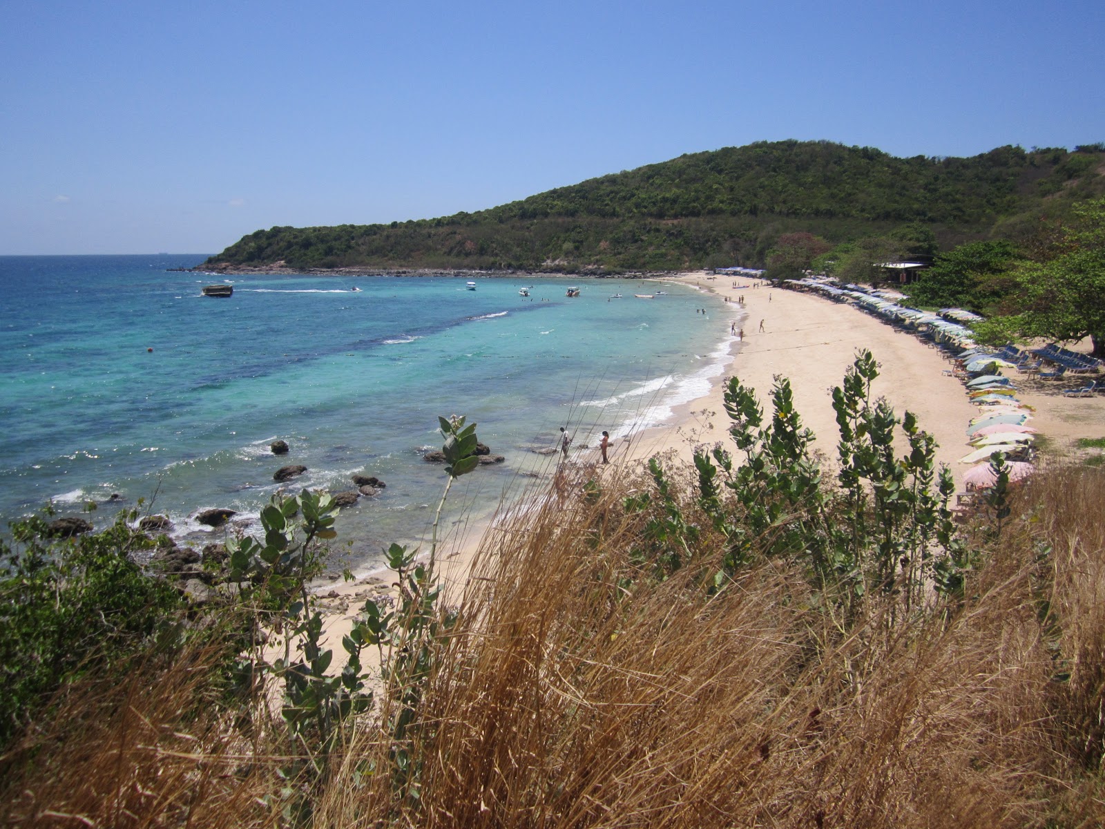 Foto de Monkey Beach com água cristalina superfície