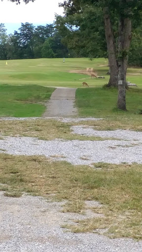 Golf Driving Range «Tennessee Hills Golf Course», reviews and photos, 58 Lynn Rothwell Rd, Pikeville, TN 37367, USA