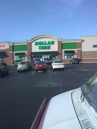 Dollar Store «Dollar Tree», reviews and photos, 640 Chestnut Commons Dr, Elyria, OH 44035, USA