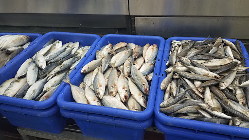 Asian Grocery Store «Hiệp Thái Food Store», reviews and photos, 2430 E Pioneer Pkwy, Arlington, TX 76010, USA