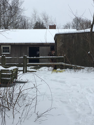 Nature Preserve «Steer Swamp Conservation Area», reviews and photos, 188 Washington St, Marblehead, MA 01945, USA