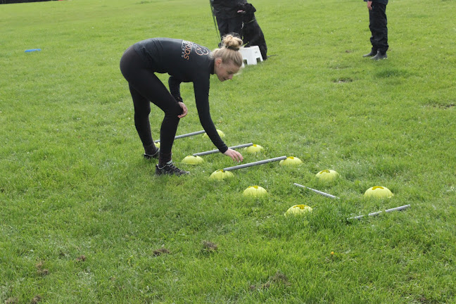 Barfods Hundevelfærd - Fysioterapi i hundehøjde - Odense