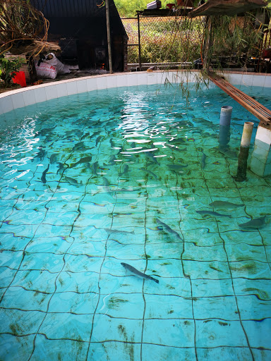 Top 17 cửa hàng brother Huyện Mộc Châu Sơn La 2022