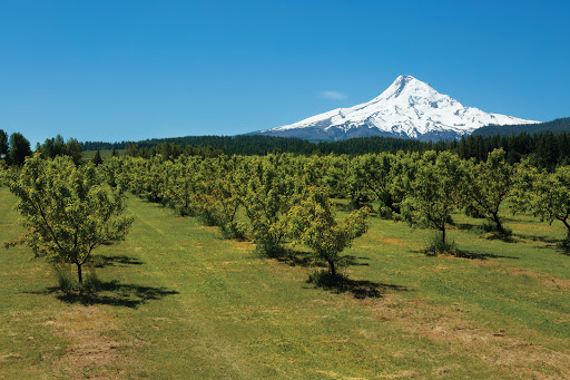 Oregon Department of Agriculture