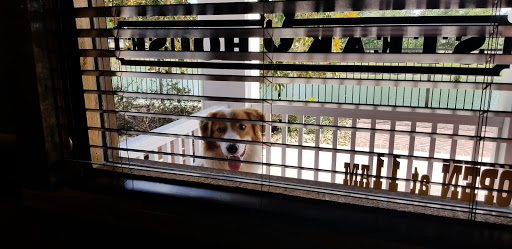 Shopping Mall «Hill Country Galleria», reviews and photos, 12700 Hill Country Blvd, Bee Cave, TX 78738, USA