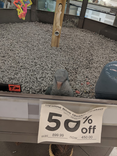 Pet Supply Store «Petco Animal Supplies», reviews and photos, 825 Brevard Rd, Asheville, NC 28806, USA