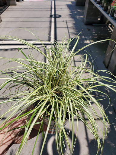 Home Improvement Store «The Home Depot», reviews and photos, 2201 Lakeview Pkwy, Rowlett, TX 75088, USA