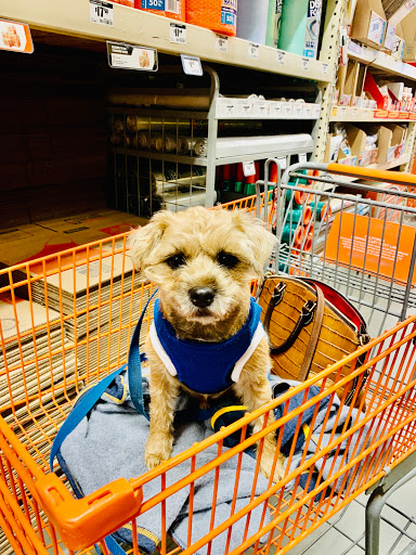 Home Improvement Store «The Home Depot», reviews and photos, 2960 Reynolds Ranch Pkwy, Lodi, CA 95240, USA