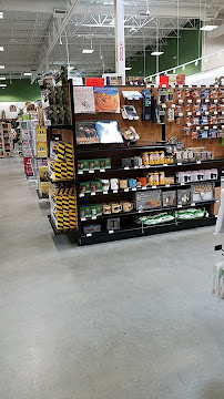 Sportsman's Warehouse - Photo 8 - Car repair in Visalia, CA, Visalia