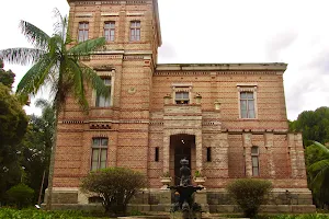 Museu Mariano Procópio image