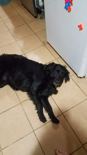 Pet Supply Store «Petco Animal Supplies», reviews and photos, 200 McMahan Blvd, Marion, OH 43302, USA