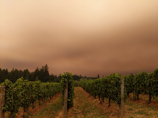 Winery «Hawks View Cellars», reviews and photos, 20210 SW Conzelmann Rd, Sherwood, OR 97140, USA