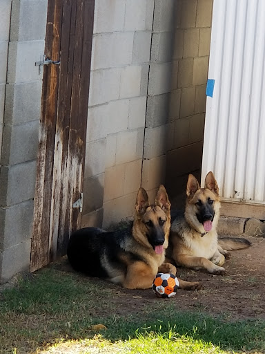 3869 W Indian School Rd, Phoenix, AZ 85019, USA