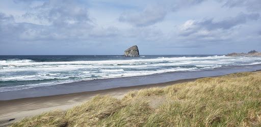 Horse Boarding Stable «Green Acres Beach & Trail Rides», reviews and photos, 5985 Pacific Ave, Cloverdale, OR 97112, USA