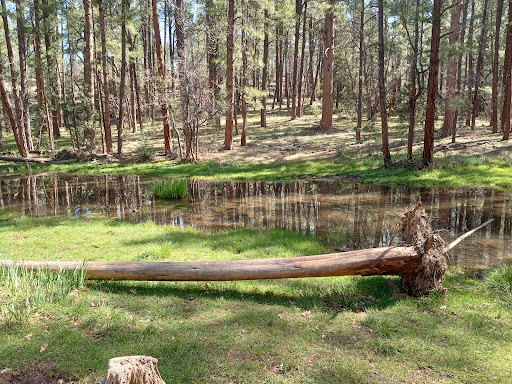 Billy Creek Trailhead