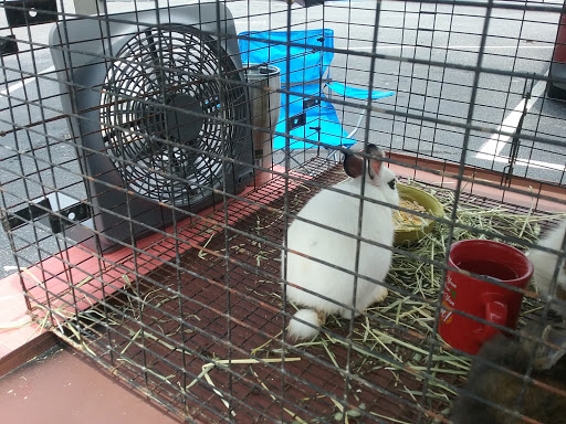 Home Improvement Store «Tractor Supply Co.», reviews and photos, 156 M.L.K. Jr Blvd, Monroe, GA 30655, USA