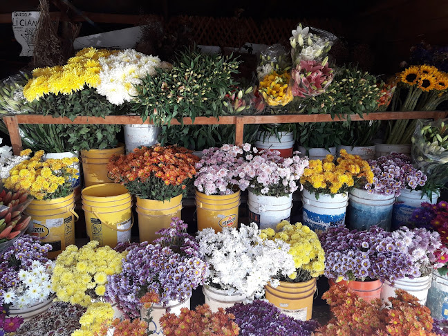 Puesto de Flores, Frutas Y Verduras - Tienda de ultramarinos