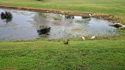 Golf Course «Mallards Landing Golf Course», reviews and photos, 2750 Lake Washington Rd, Melbourne, FL 32935, USA