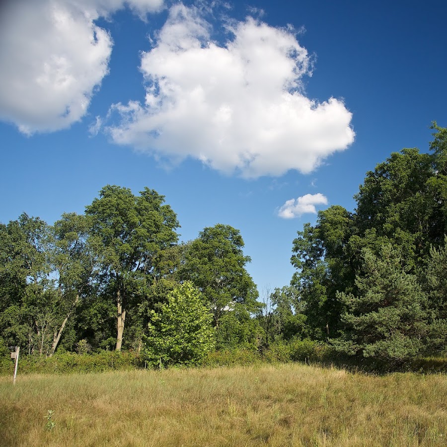 Fenner Nature Center