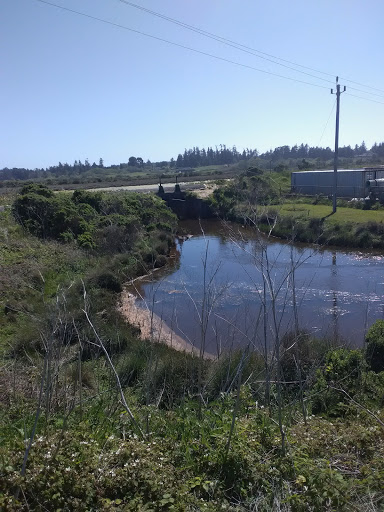 Pet Supply Store «The Farm Store», reviews and photos, 3956 Jacobs Ave, Eureka, CA 95501, USA