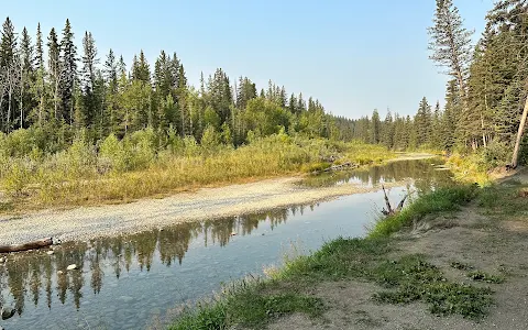 Bebo Grove - Fish Creek Provincial Park image