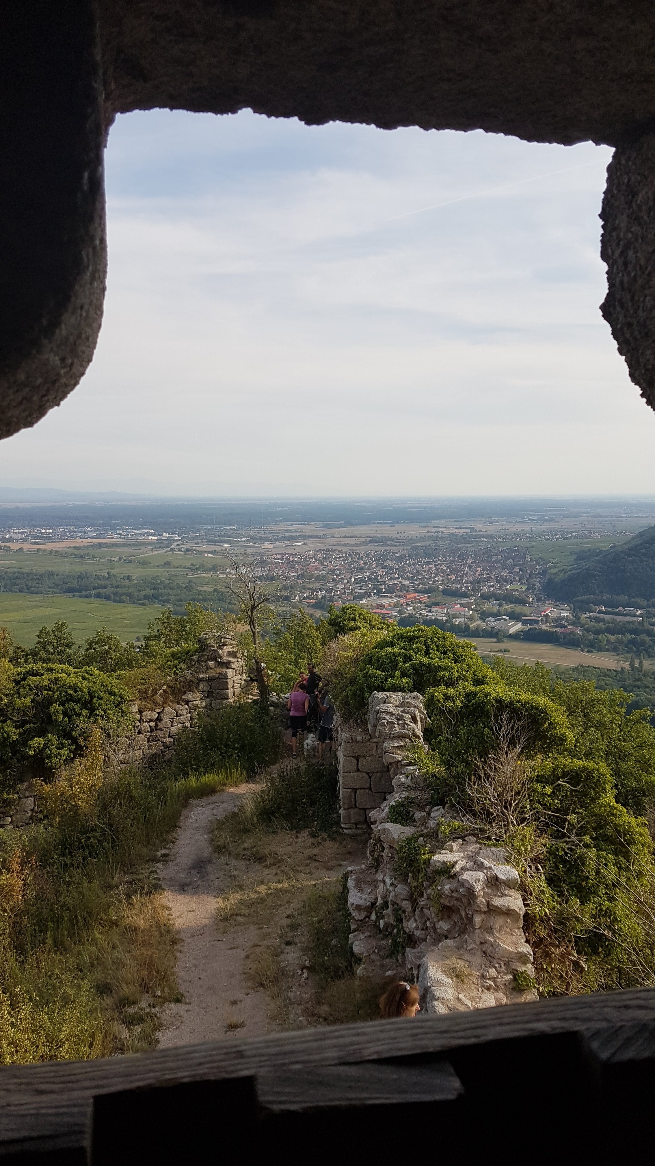 Photo n° 2 de l'avis de néo.� fait le 17/09/2018 à 09:14