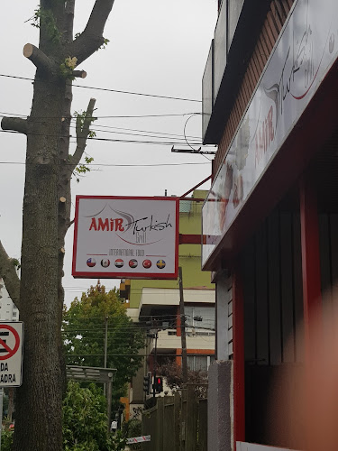 Opiniones de Amir Turkish Grill en Concepción - Restaurante