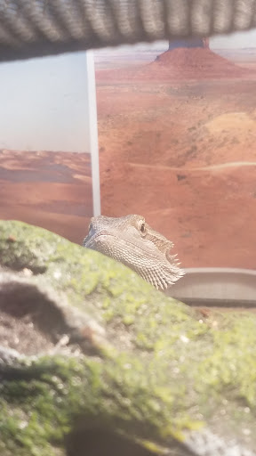 Pet Store «PetSmart», reviews and photos, 14903 4th Ave SW Ste 200, Burien, WA 98166, USA