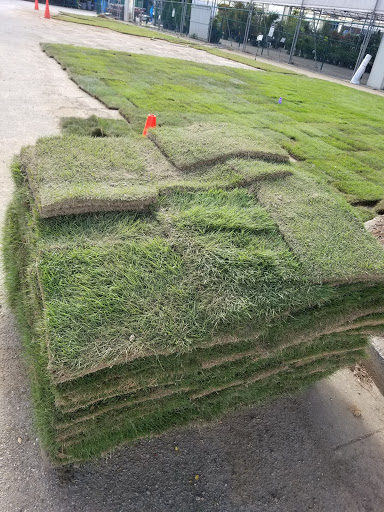 Garden Center «Pike Nurseries», reviews and photos, 6050 Bethelview Rd, Cumming, GA 30040, USA