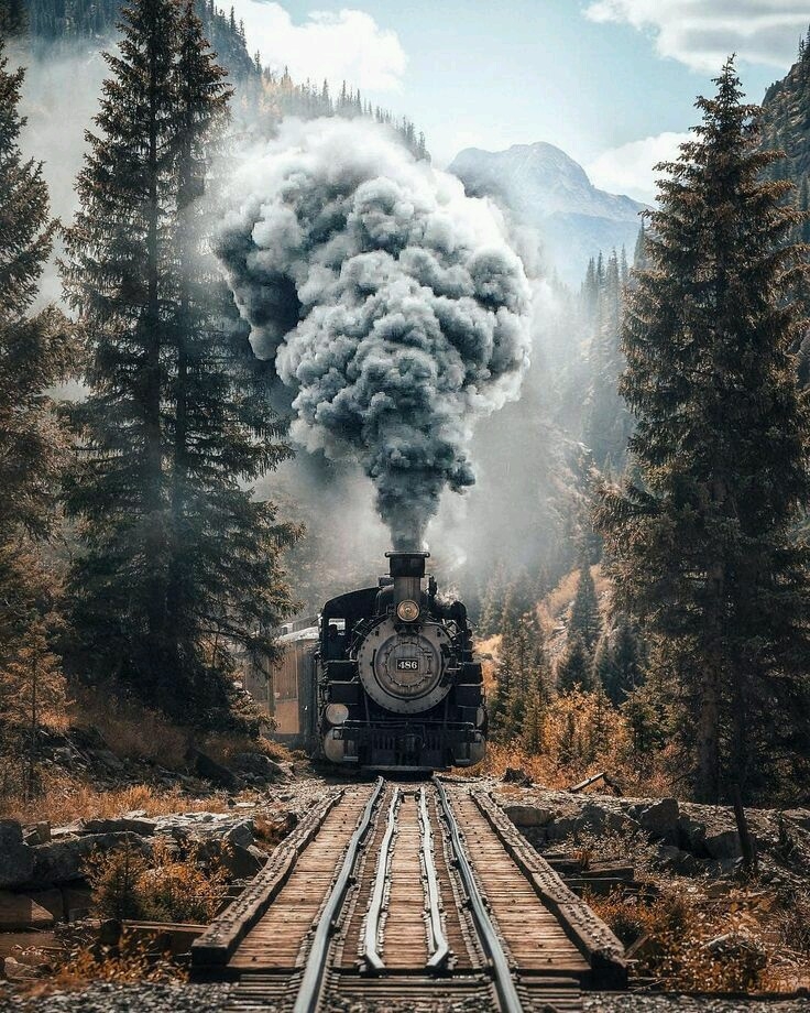 Photo n° 25 de l'avis de DOMINIQUE.E fait le 02/12/2020 à 18:08