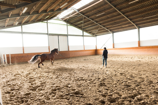 Beoordelingen van Pferdepraxis Lichtenbusch in Eupen - Dierenarts