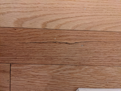 Plumber «Roto-Rooter Plumbing & Drain Service», reviews and photos, 255 Stagg St, Stratford, CT 06615, USA