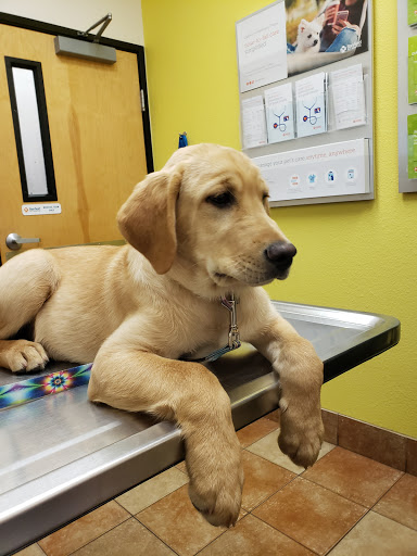 Pet Supply Store «PetSmart», reviews and photos, 10600 Melody Dr, Northglenn, CO 80234, USA