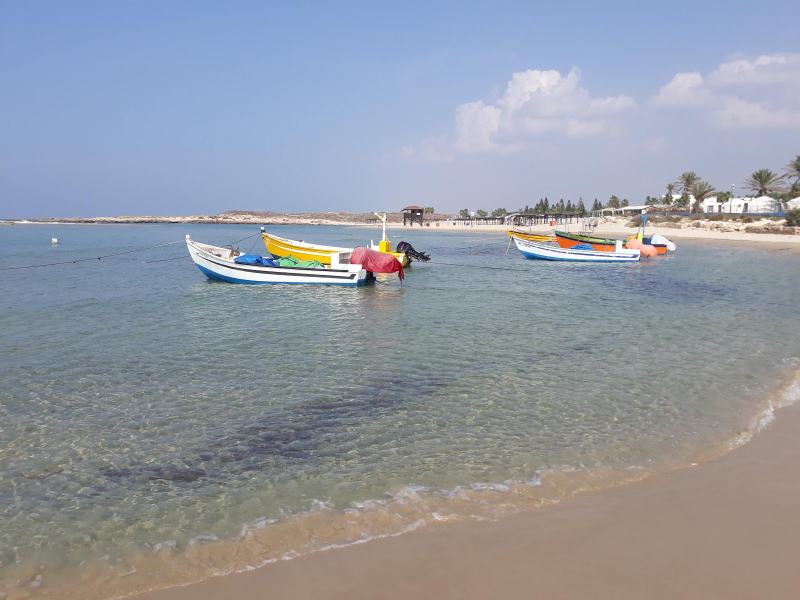 Dor Beach Island Reserve photo #7