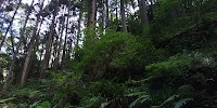 観音滝
