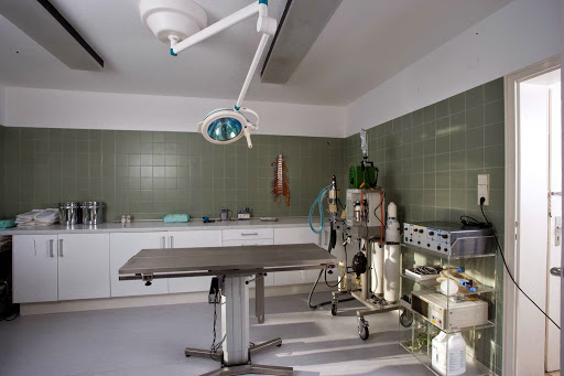 Dr. Christian von Hänisch veterinarian unter Konstanz, Baden Württemberg