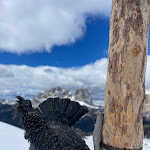 Photo n°1 de l'avis de Michele.o fait le 02/04/2023 à 12:39 sur le  Chalet Belvedere à Canazei