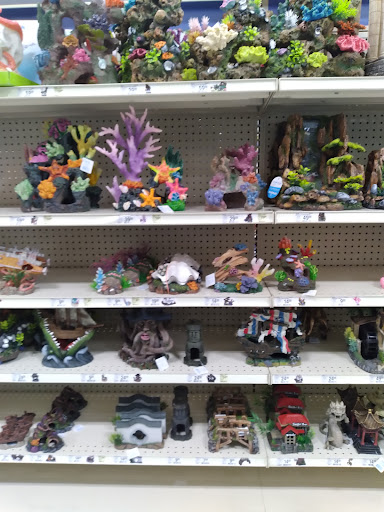 Pet Supply Store «PetSmart», reviews and photos, 3010 Brandywine Pkwy, Wilmington, DE 19803, USA