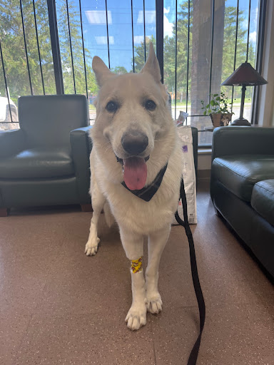 Hale Veterinary Clinic image