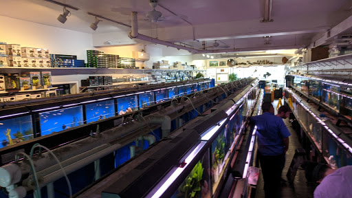 Pet Supply Store «Wet Spot Tropical Fish», reviews and photos, 4310 NE Hancock St, Portland, OR 97213, USA