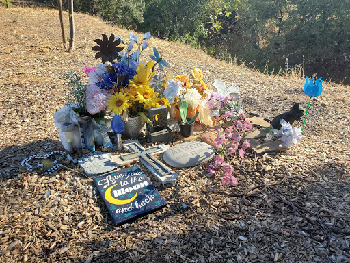 Live Music Venue «Concord Pavilion», reviews and photos, 2000 Kirker Pass Rd, Concord, CA 94521, USA