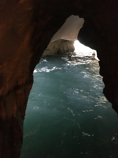 Travel Agency «Cruise Planners - Cruise our way and travel», reviews and photos, 17180 Mallard Ct, Eden Prairie, MN 55346, USA