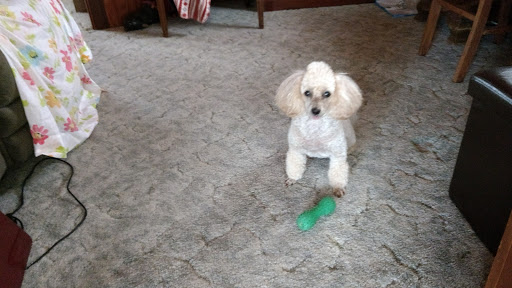 Tire Shop «Big T Tire Pros», reviews and photos, 1109 W Main St, Avon Park, FL 33825, USA